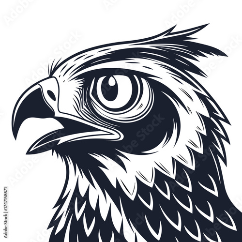 Dark bird of prey head with large eye white background
