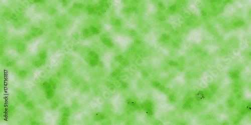 green grass background
