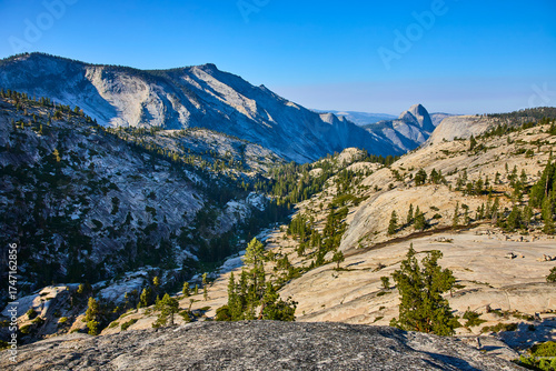 Canvas Print Yosemite Granite Slopes Pine Trees and Half Dome from Olmsted Point California