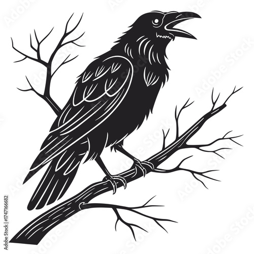 Black crow perched on bare branch silhouette raven