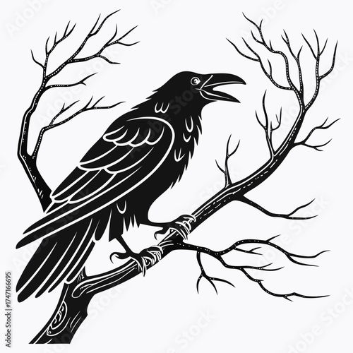 Black crow perched on bare branches silhouette raven