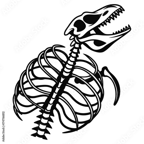 Black dinosaur skeleton rib cage and skull dinosaur head