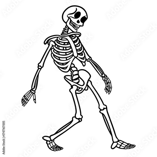 Black line art full body human skeleton walking black and white