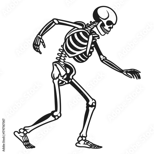 Black line art skeleton walking on white human skeleton