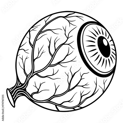 Black outline eyeball with vein pattern blood vessel