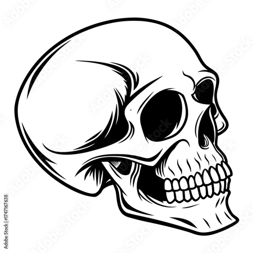 Black silhouette human skull graphic hollow eyes vector