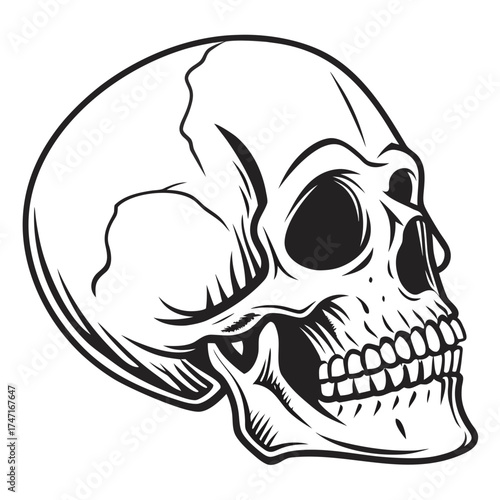 Black silhouette human skull graphic hollow eyes vector 1