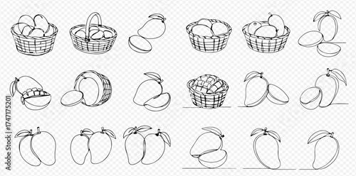 Collection of hand-drawn line art illustrations featuring whole and sliced mangoes, some presented in baskets.