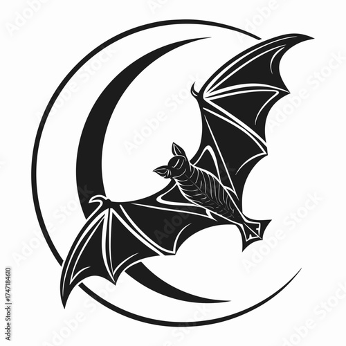 Black bat flying in crescent moon graphic night animal