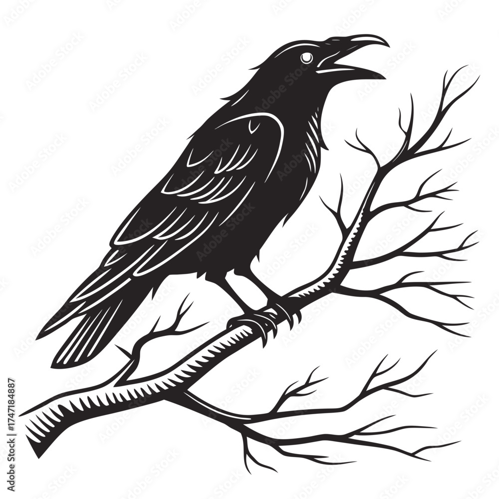 Fototapeta premium Black crow perched on bare branch silhouette raven