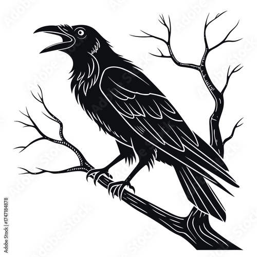 Black crow perched on bare branch silhouette raven 1
