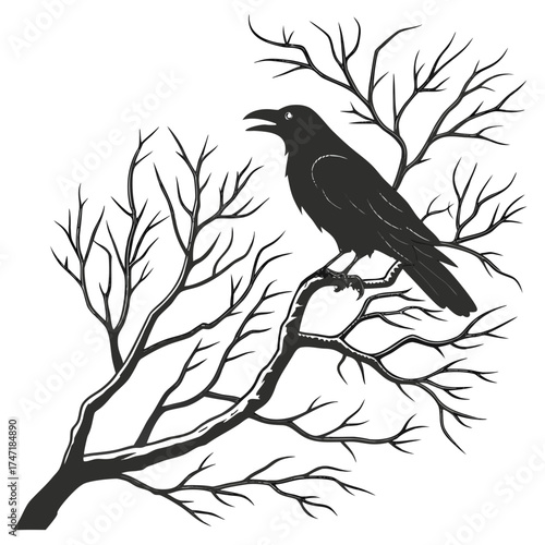 Black crow perched on bare tree branches silhouette 1