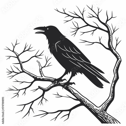 Black crow perched on bare tree branches silhouette