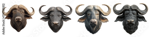 Majestic Buffalo Herd Heads Showcasing Diversity and Power, Ideal for Wildlife Conservation Campaigns and African Safari Adventures, Originally a Scalable Vector Graphic