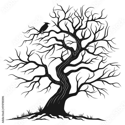 Black silhouette of a gnarled tree with a bird on a branch