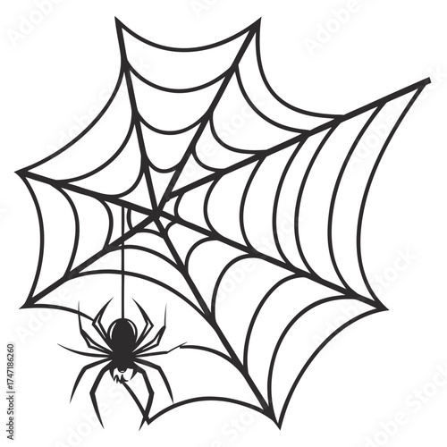 Black spider hanging from black spider web illustration 1