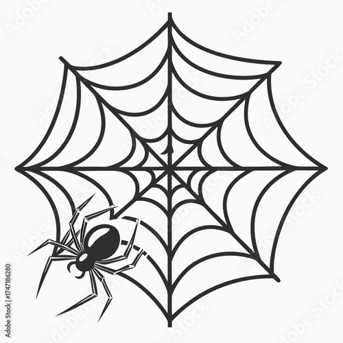 Black spider on a circular geometric spider web insect