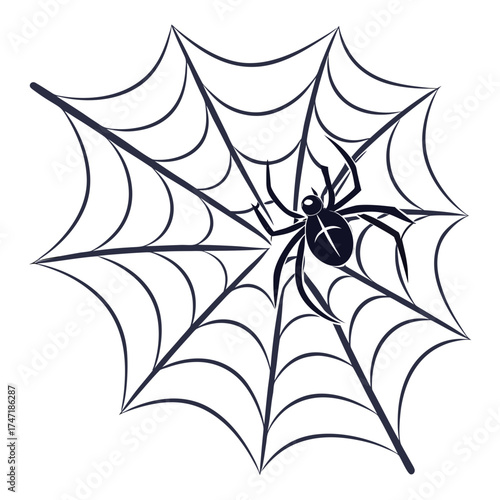 Black spider on a dark web on a white background spider web