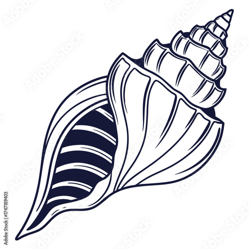 Dark blue line art seashell on white background conch