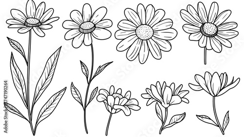 Blossom flowers with white petals are part of a modern doodle daisy set that includes cartoon daisy logo designs, chamomile flower icons, and flat spring floral elements