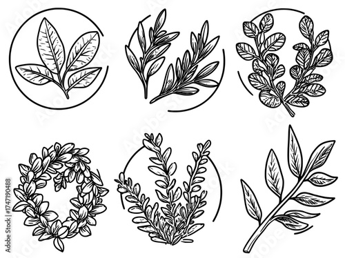 A modern victory and winner badge represented by a circle award and trophy logo, incorporating an olive wreath, florist ornamental decorative elements, and a diploma and certificate silhouette