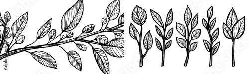 Silhouettes of black and white tree branches are used for decorative and design purposes