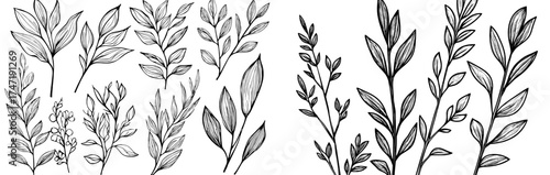 Elegant silhouettes of branches and leaves bring a modern botanical feel to decorative design elements