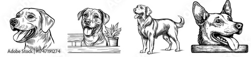 A modern illustration of a ferocious dog silhouette is suitable for various graphic design and art projects