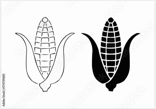 illustration of a corn