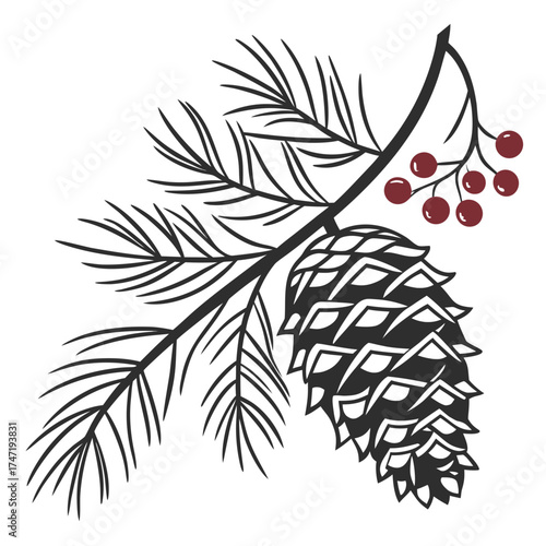 Pinecone branch with red berries illustration pine needles