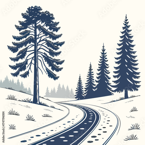 Snowy road winding through pine forest winter pine tree