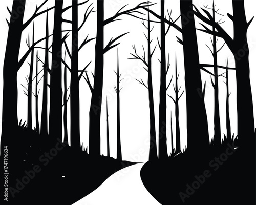 Fog Covered Spooky Forest Trail Silhouette