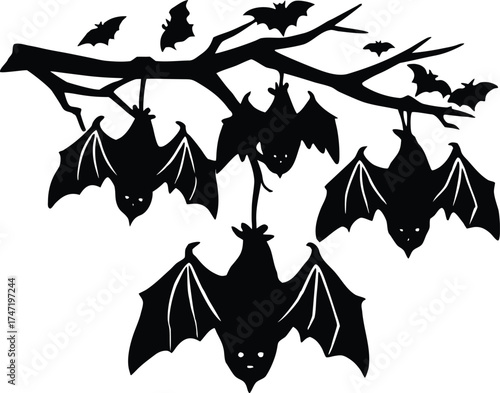 Hanging Bats Upside Down On Tree Branch Silhouette
