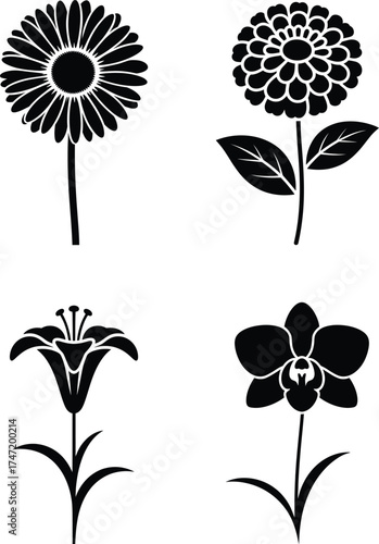Elegant black and white silhouettes of four distinct floral blooms