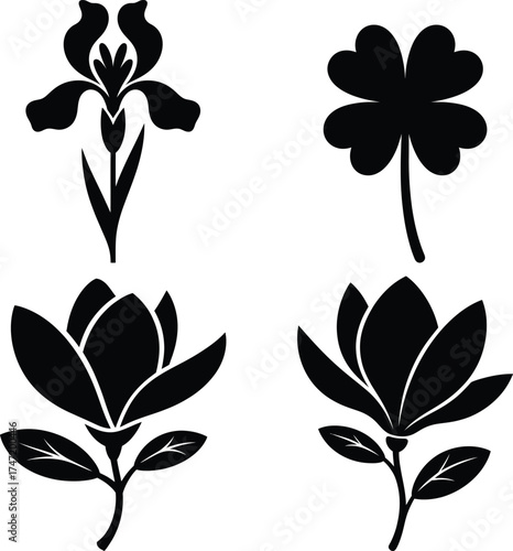 Elegant black silhouettes of iris flower magnolia blooms and lucky clover leaf