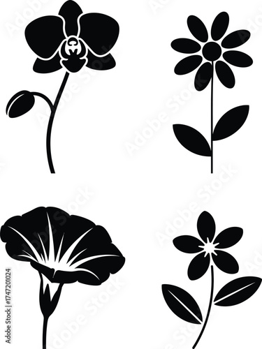 Four stylized flower silhouettes orchid daisy morning glory simple botanical art