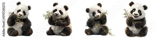 Adorable panda bear cubs enjoying bamboo shoots, perfect for nature conservation campaigns and children's educational materials, highlighting the importance of wildlife preservation