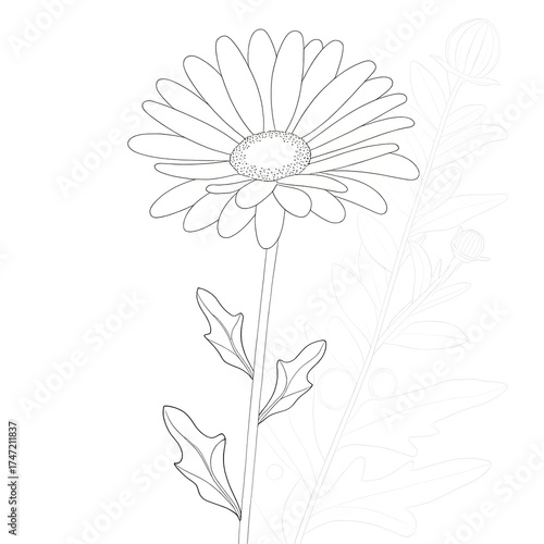 Wallpaper Mural Minimal flower outline, a daisy or tulip, with few petals, black on white Torontodigital.ca