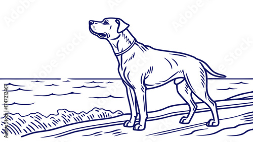 Dog by the Shoreline, Standing Proudly, Coastal View, Illustration, Calm Environment, Side Perspective, Nature Concept