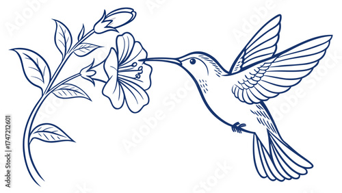 Illustration of a Hummingbird Feeding on a Flower in Nature, Vector Art, Calm Environment