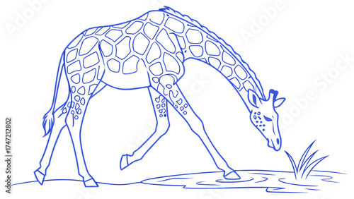 Giraffe Grazing by Waterhole, Nature Scene, Wildlife Illustration, Tranquil Environment, Side View, Serene Concept