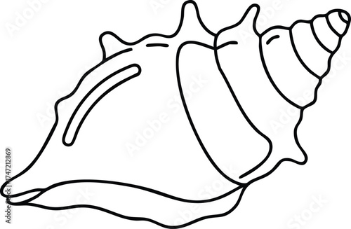 Seashell vector line art illustration of marine shell outline natural ocean object design simple drawing 