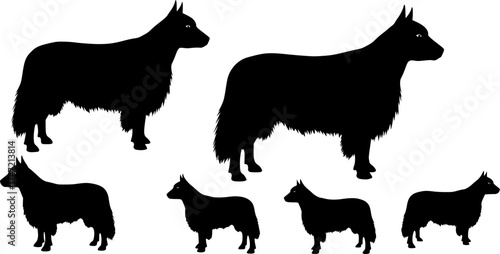 Aberdeen angus silhouettes, Aberdeen angus silhouette