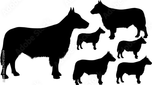 Aberdeen angus silhouettes, Aberdeen angus silhouette
