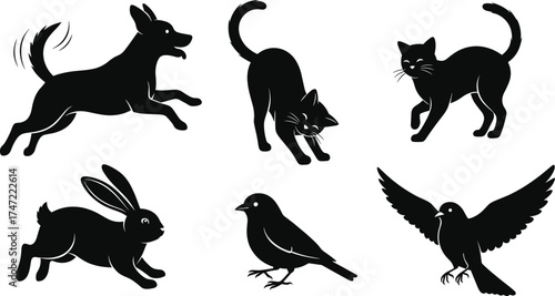 Dog, cat, rabbit, bird, animal silhouette, pet icon, wildlife vector, black shape, domestic animal, flat style, editable, isolated, graphic element