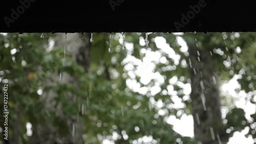 A serene slow-motion video capturing raindrops gently falling from a roof edge against a soft-focus background of lush green trees. The calm, rhythmic motion evokes peace and nature s quiet beauty.