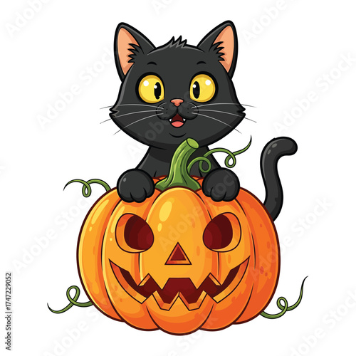 Cute black cat with a spooky jack o lantern pumpkin for halloween