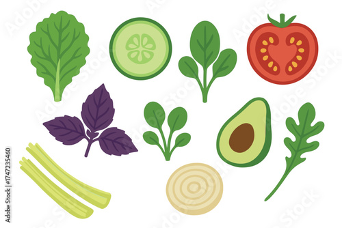 Salad greens and fresh vegetables flat vector illustration set. Collection of healthy ingredients for cooking.