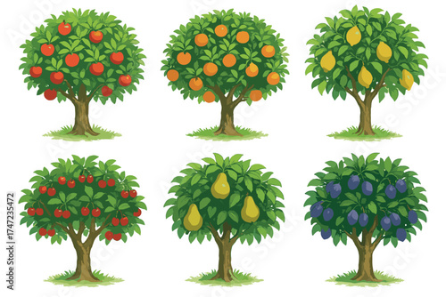 Fruit trees with ripe fruits vector illustration set. Collection of apple, orange, and cherry trees for garden and orchard.