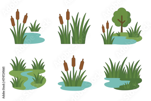 Cattails and marsh plants flat vector illustration set. Collection of various wetland and pond scenes.